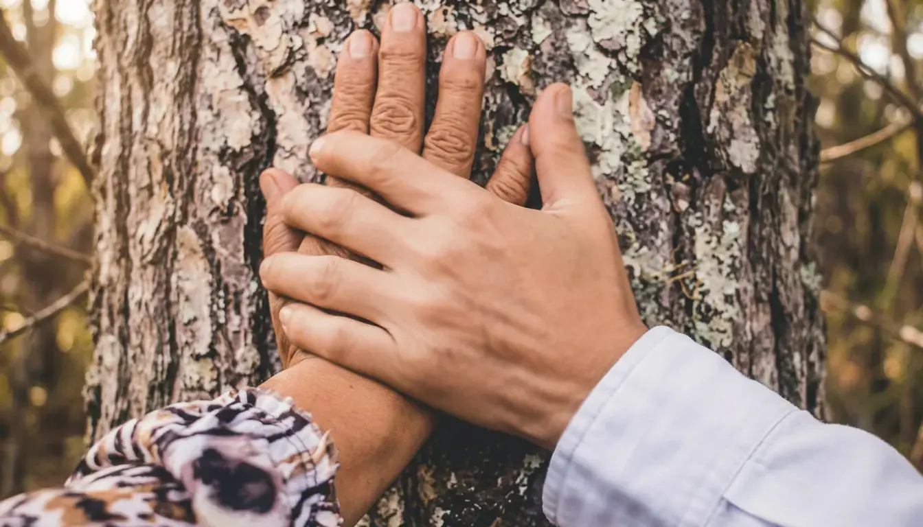Formation Transmission d’exploitation agricole à La Réunion : mains d’une agricultrice âgée et de son fils superposées sur un arbre, illustration de la succession familiale