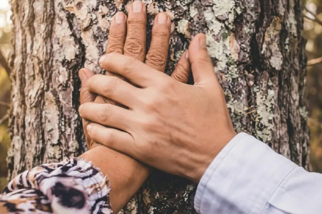 Image pastille pour la Formation Transmission d’exploitation agricole à La Réunion : mains d’une agricultrice âgée et de son fils superposées sur un arbre, illustration de la succession familiale